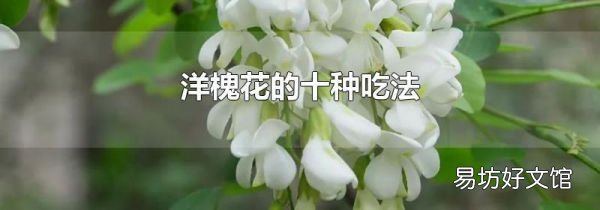 洋槐花的十種吃法