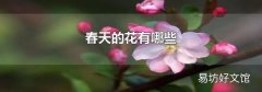 春天的花有哪些