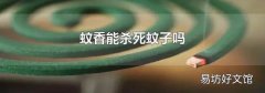 蚊香能杀死蚊子吗