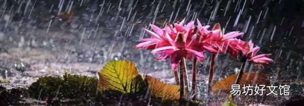 梅雨季节一般持续多久