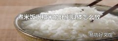 煮米饭水和米的比例具体怎么放