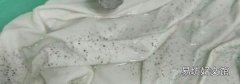 梅雨季節(jié)衣服發(fā)霉怎么辦