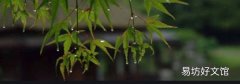 梅雨季節(jié)指的是幾月