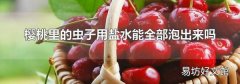 櫻桃里的蟲子用鹽水能全部泡出來嗎
