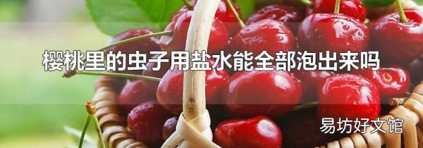 櫻桃里的蟲子用鹽水能全部泡出來嗎