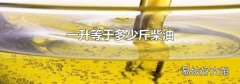 一升等于多少斤柴油