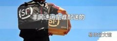 丰网速运是谁配送的