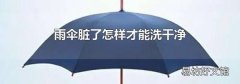 雨伞脏了怎样才能洗干净