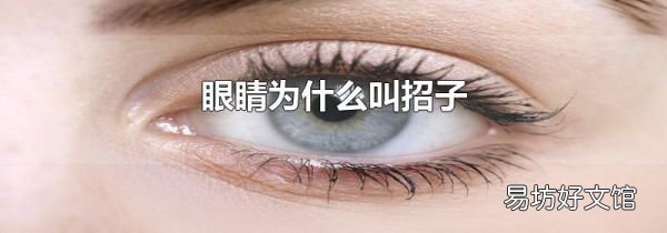 眼睛為什么叫招子