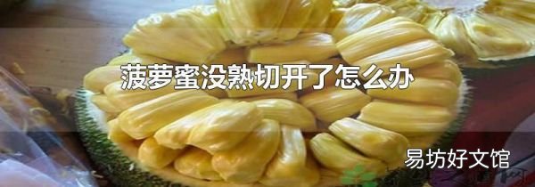菠萝蜜没熟切开了怎么办