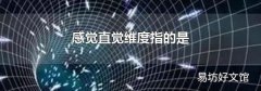 感觉直觉维度指的是