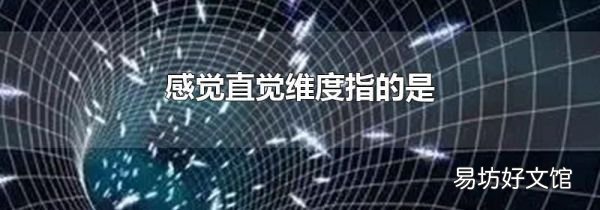 感觉直觉维度指的是