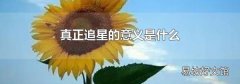 真正追星的意义是什么