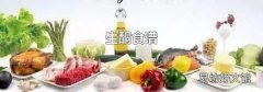 生酮食谱