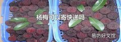 杨梅可以寄快递吗