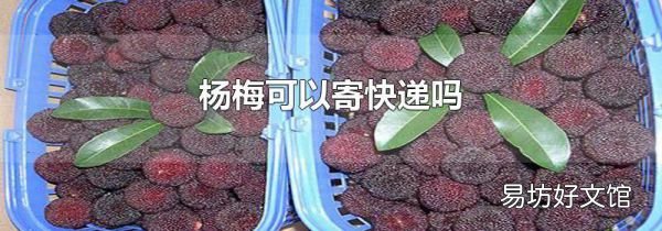 楊梅可以寄快遞嗎
