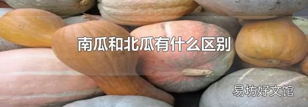 南瓜和北瓜有什么区别