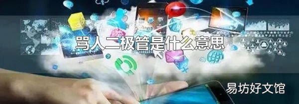 罵人二極管是什么意思