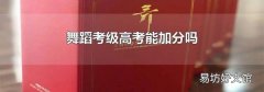 舞蹈考级高考能加分吗