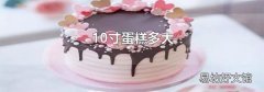 10寸蛋糕多大