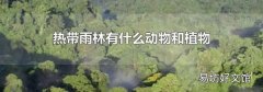 热带雨林有什么动物和植物