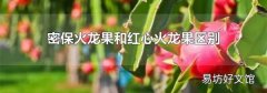 密保火龙果和红心火龙果区别