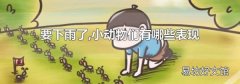 要下雨了,小动物们有哪些表现