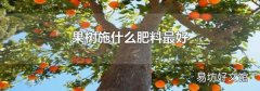 果树施什么肥料最好