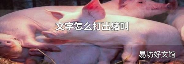 文字怎么打出猪叫
