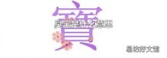 臭宝是什么意思