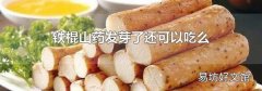 铁棍山药发芽了还可以吃么