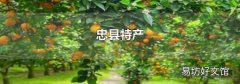 忠县特产