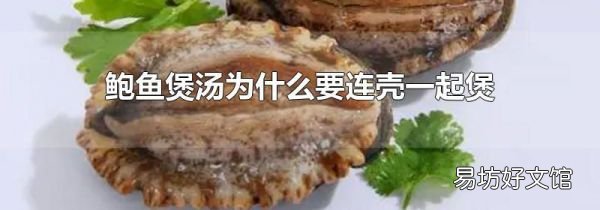 鲍鱼煲汤为什么要连壳一起煲