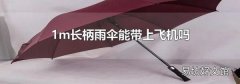 1m长柄雨伞能带上飞机吗