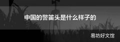 中國的警笛頭是什么樣子的