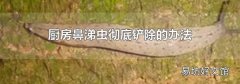 厨房鼻涕虫彻底铲除的办法