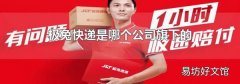 极兔快递是哪个公司旗下的