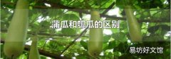 蒲瓜和瓠瓜的区别