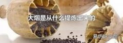 大烟是从什么提炼出来的