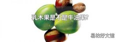 乳木果是不是牛油果?