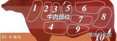 牛肉部位