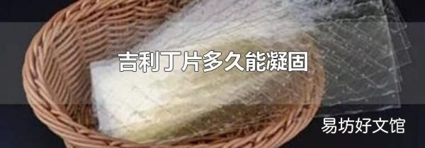 吉利丁片多久能凝固