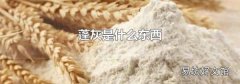 蓬灰是什么东西