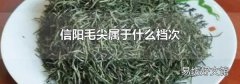信阳毛尖属于什么档次
