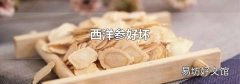 西洋参好坏