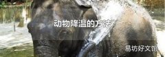 动物降温的方法