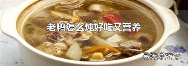 老鴨怎么燉好吃又營養(yǎng)