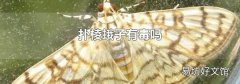 扑棱蛾子有毒吗