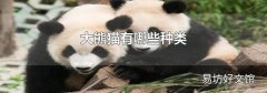 大熊猫有哪些种类