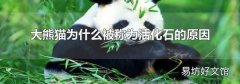 大熊猫为什么被称为活化石的原因